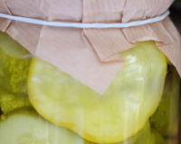 
		Curs d’aprofitament d’excedents de fruites i hortalisses
	