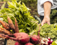 
		Producció sostenible en cultius d’horta
	