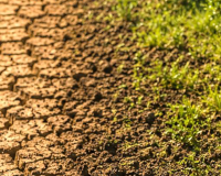 
		Aigua i regeneració de zones àrides, agrícoles i naturals
	