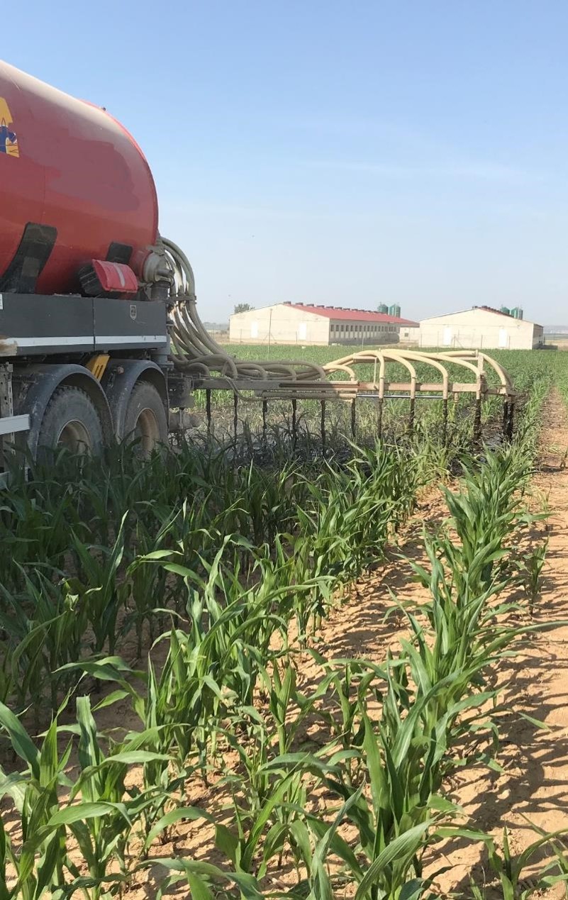 agronomic_stripping