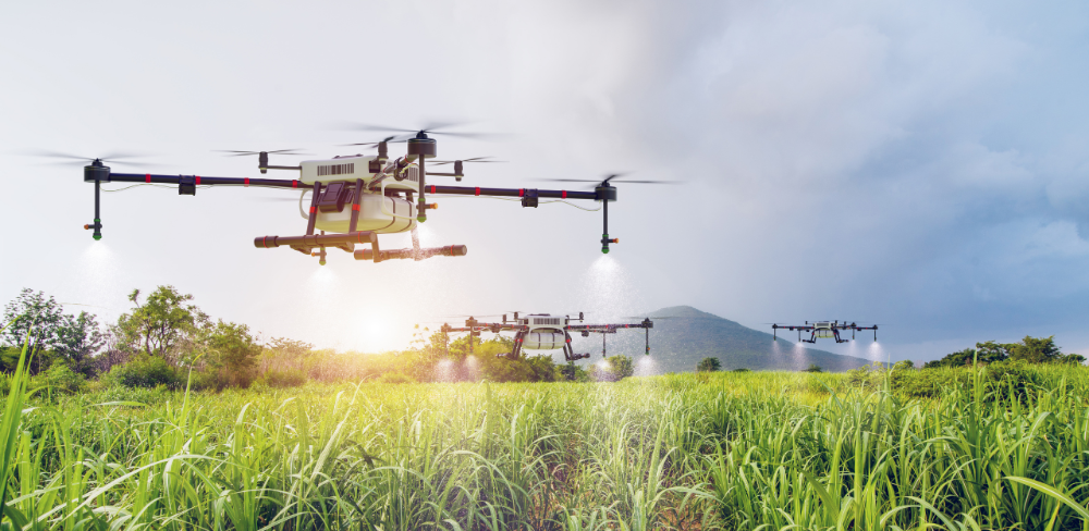 Agricultura preveu invertir més en projectes i ajuts per fomentar la innovasció en el sector agroalimentari, forestal i el món rural
