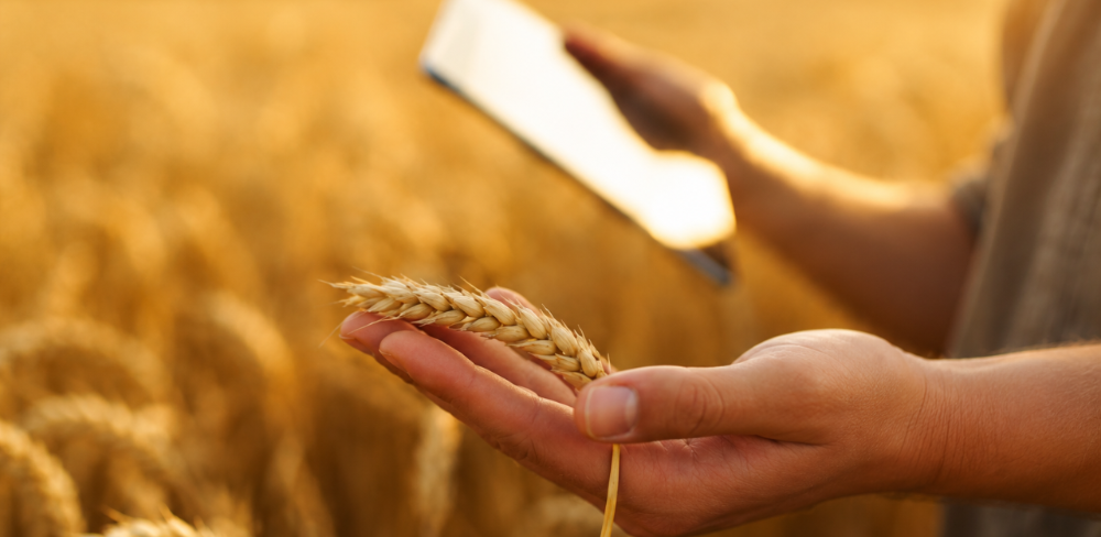 La jornada reuneix experts de la Comissió Europea, l'Idescat i el sector agroalimentari per debatre sobre l'accés a la informació i el valor de les dades com a eina per a la presa de decisions en el sector agrari.