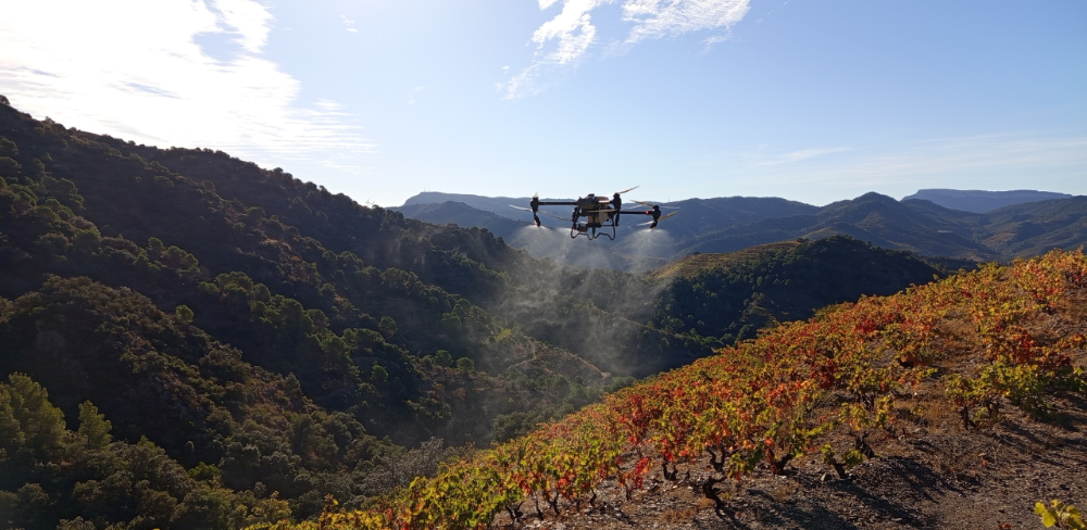 Un dron agrícola tracta una vinya en fort pendent en el marc del projecte DRONVINYA, en una de les cinc parcel·les d'assaig situades al Priorat, l'Anoia i l'Alt Camp.