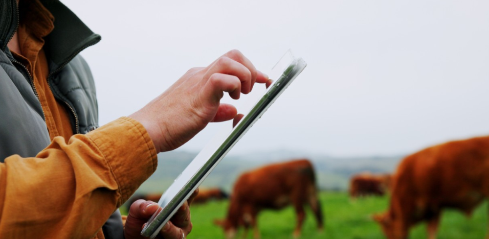 Els Premis Ruralapps reconeixen solucions tecnològiques que impulsen la digitalització dels sectors agroalimentari, forestal i del medi rural