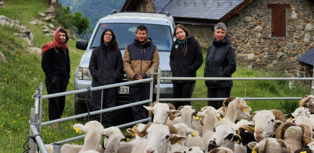 Participants en una activitat de la Taula de Relleu Agrari del Pirineu, un espai de treball col·lectiu per facilitar la incorporació de joves al sector agrari de muntanya