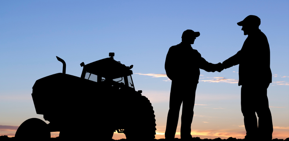 La convocatòria preveu un any de mentoria perquè el jove agricultor aprengui les peculiaritats de l'explotació de la mà de la persona cedent