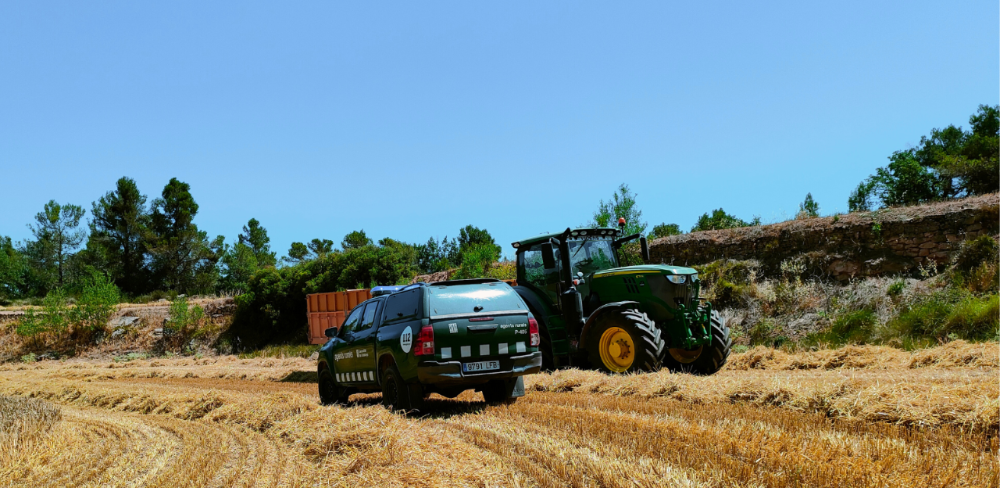 Mesures preventives per la lluita contra els incendis forestals en el marc de l'activitat agrícola