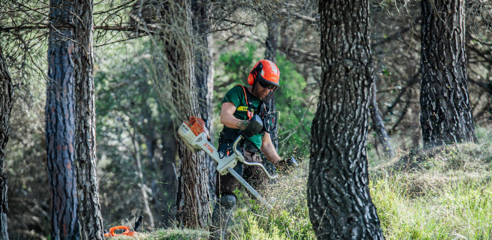 Treballs de reducció de càrrega de combustible vegetal en una zona forestal, en el marc de les actuacions de prevenció d'incendis forestals a Catalunya